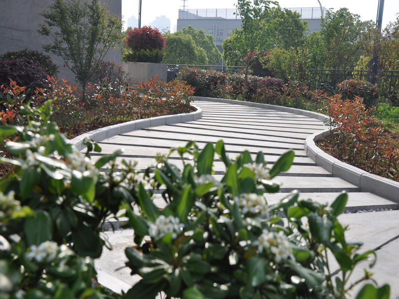 98堂论坛-追求康健,你我一起生长