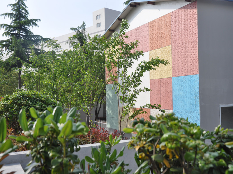 98堂论坛-追求康健,你我一起生长