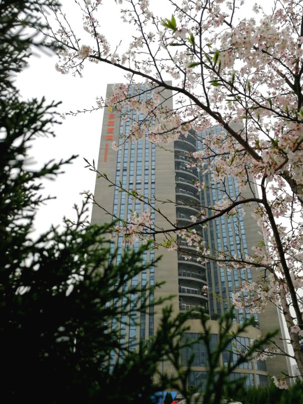 98堂论坛-追求康健,你我一起生长