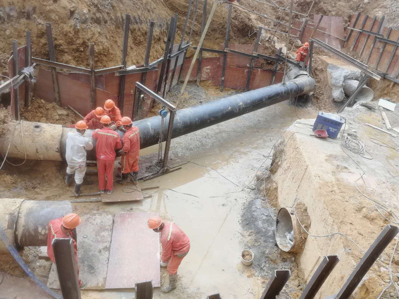 98堂论坛-追求康健,你我一起生长