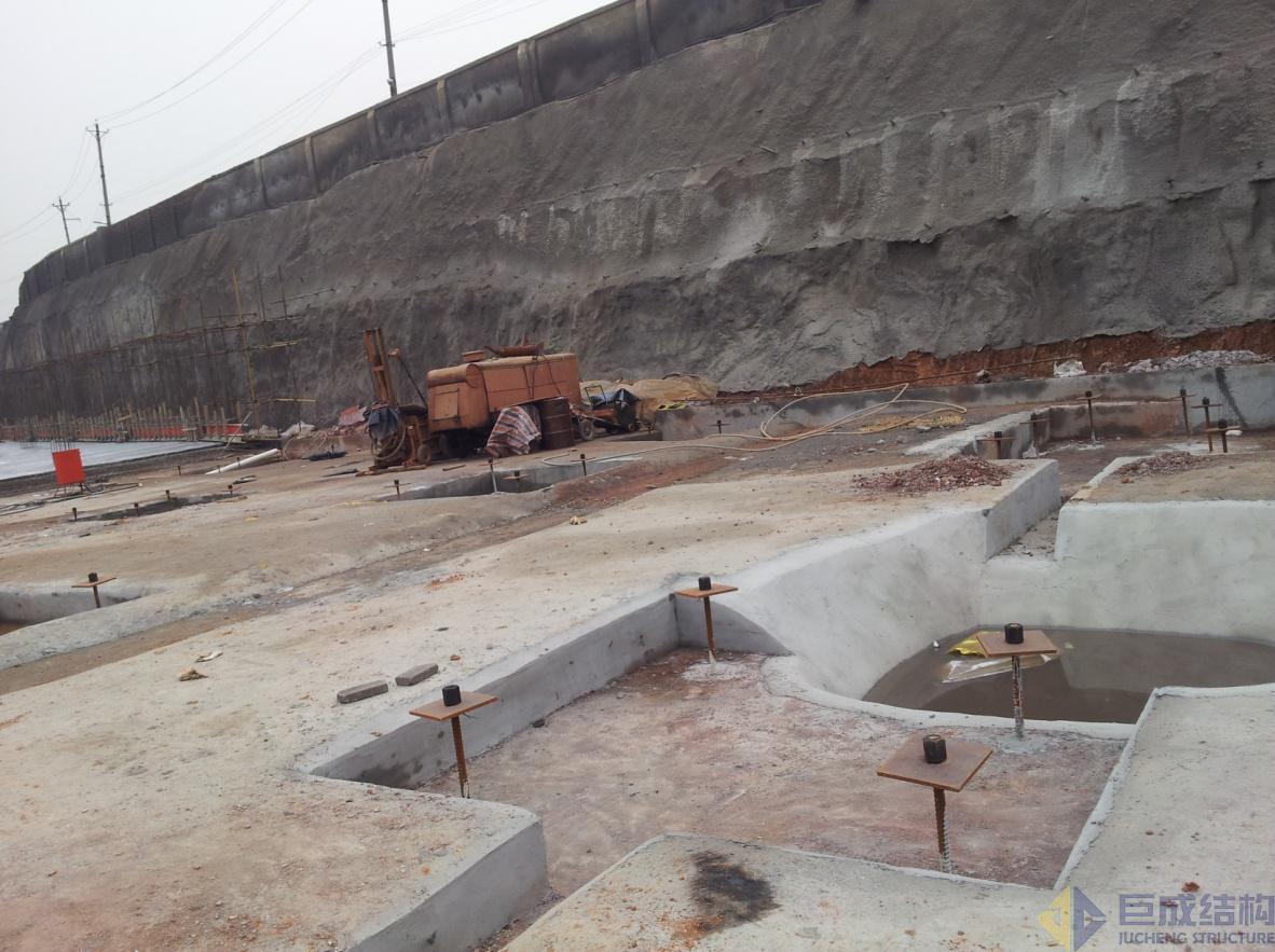 98堂论坛-追求康健,你我一起生长