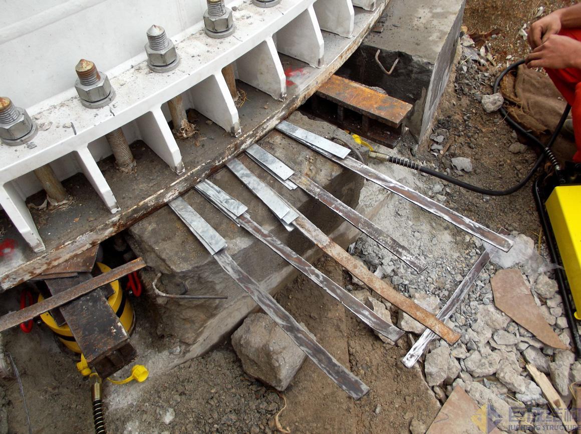 98堂论坛-追求康健,你我一起生长