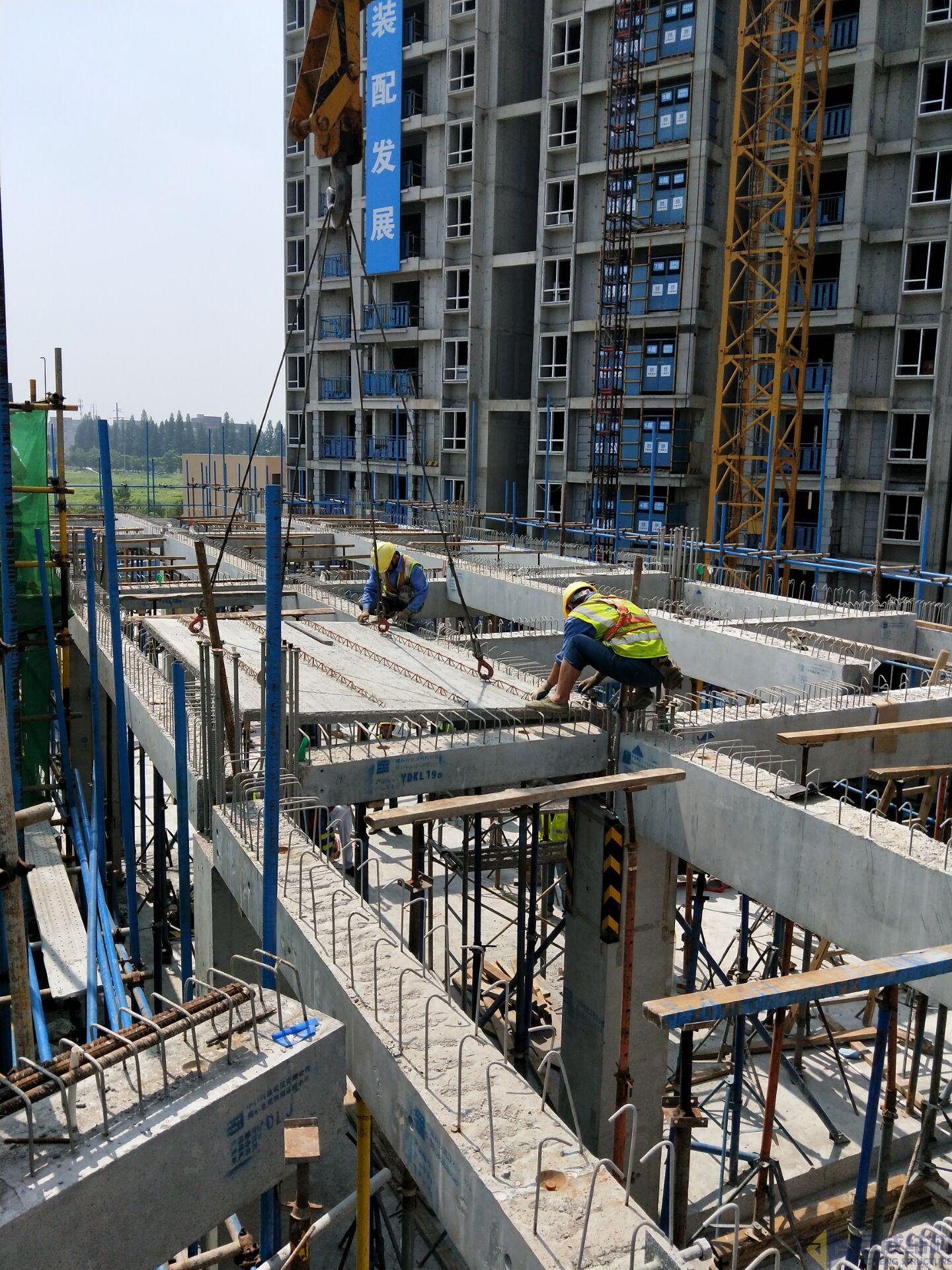 98堂论坛-追求康健,你我一起生长