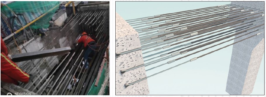 98堂论坛-追求康健,你我一起生长