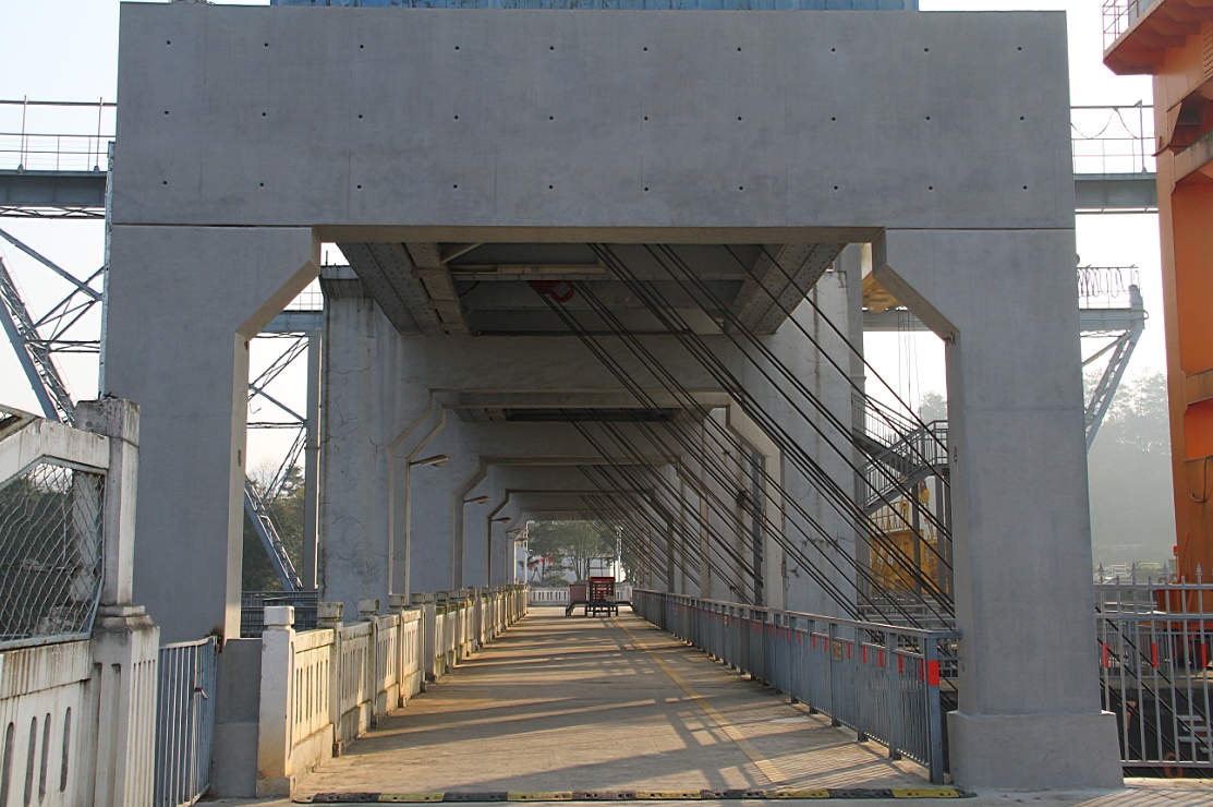 98堂论坛-追求康健,你我一起生长