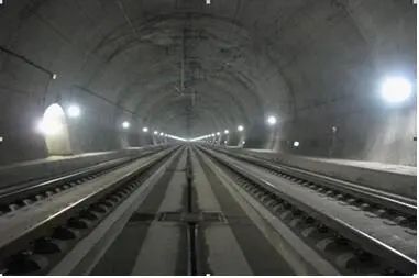 98堂论坛-追求康健,你我一起生长