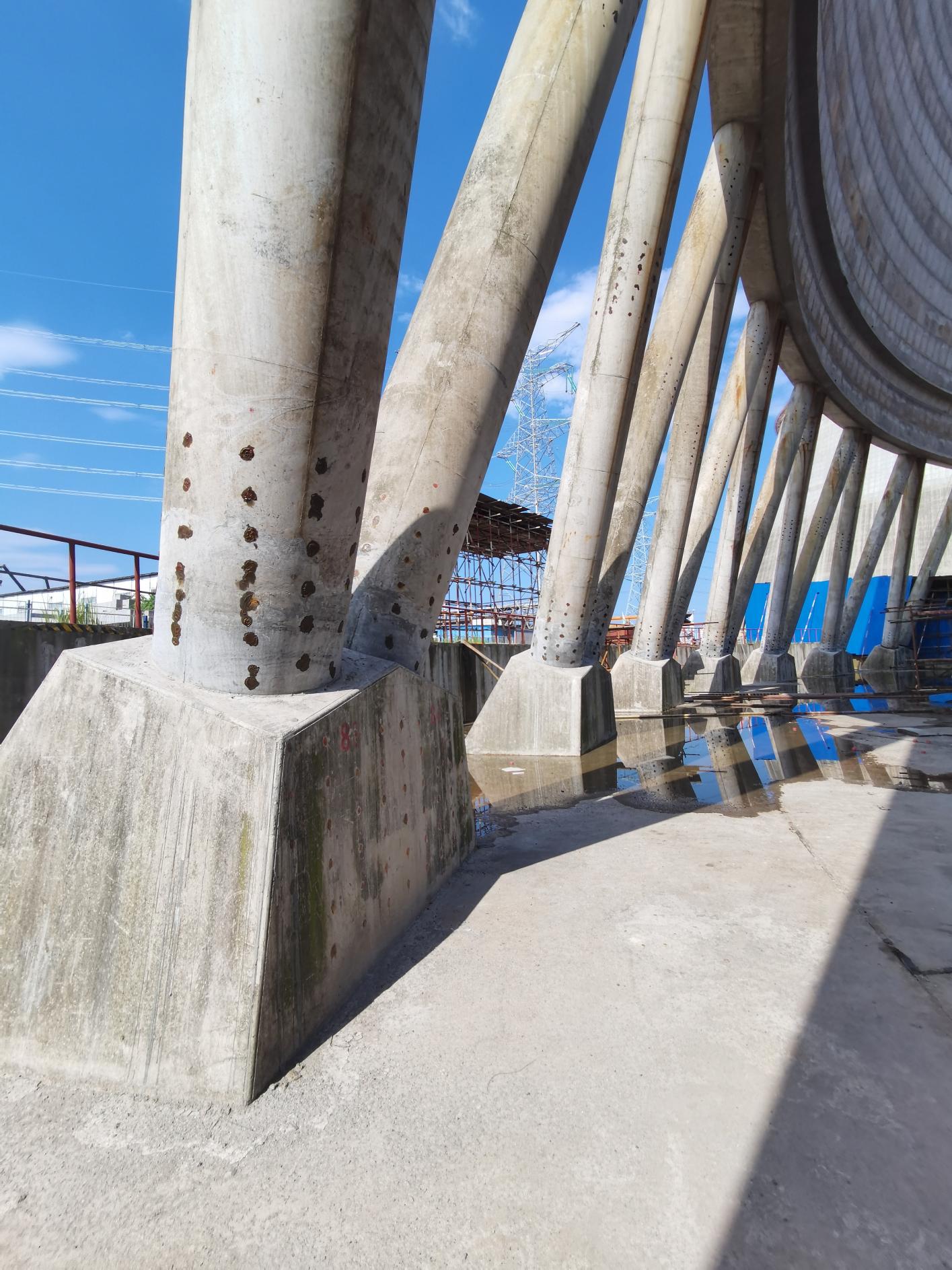 98堂论坛-追求康健,你我一起生长