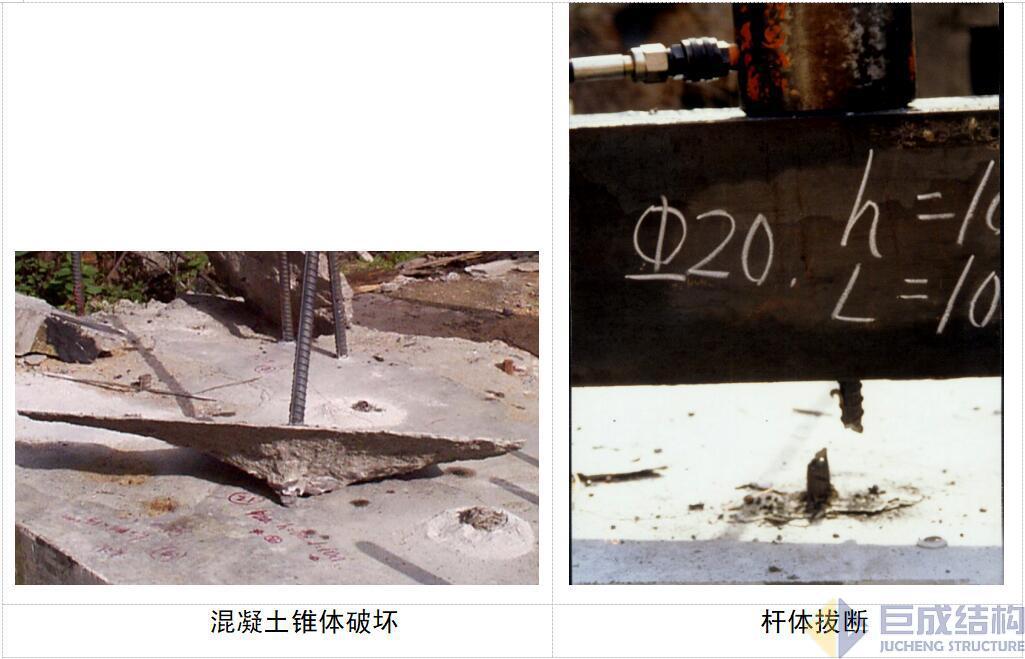 98堂论坛-追求康健,你我一起生长