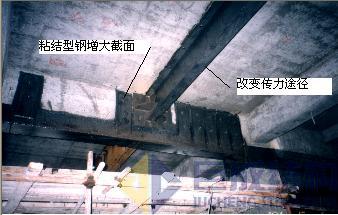 98堂论坛-追求康健,你我一起生长