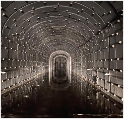 98堂论坛-追求康健,你我一起生长