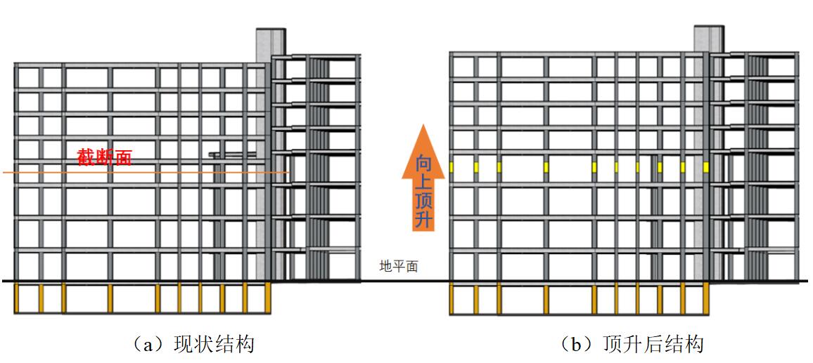 98堂论坛-追求康健,你我一起生长