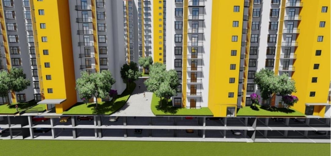 98堂论坛-追求康健,你我一起生长