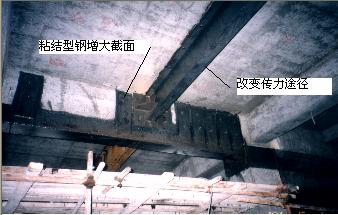 98堂论坛-追求康健,你我一起生长