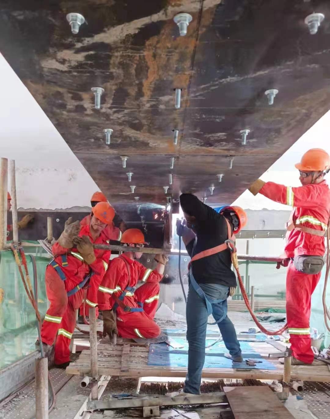 98堂论坛-追求康健,你我一起生长