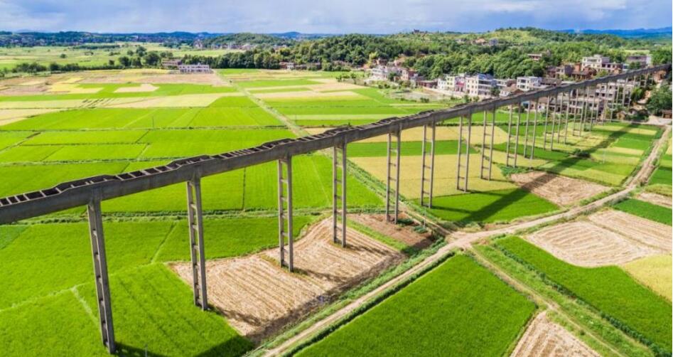 98堂论坛-追求康健,你我一起生长