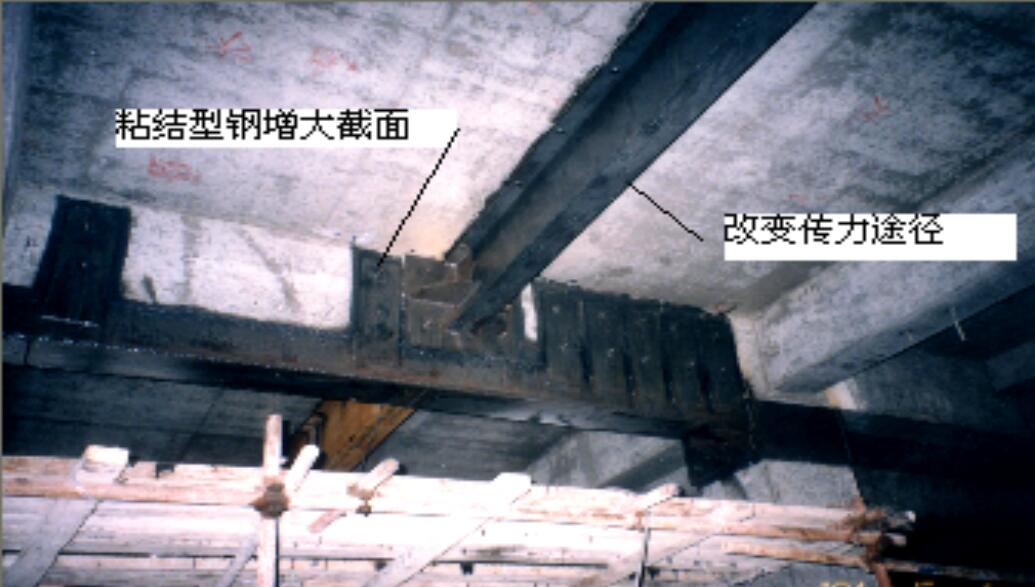 98堂论坛-追求康健,你我一起生长