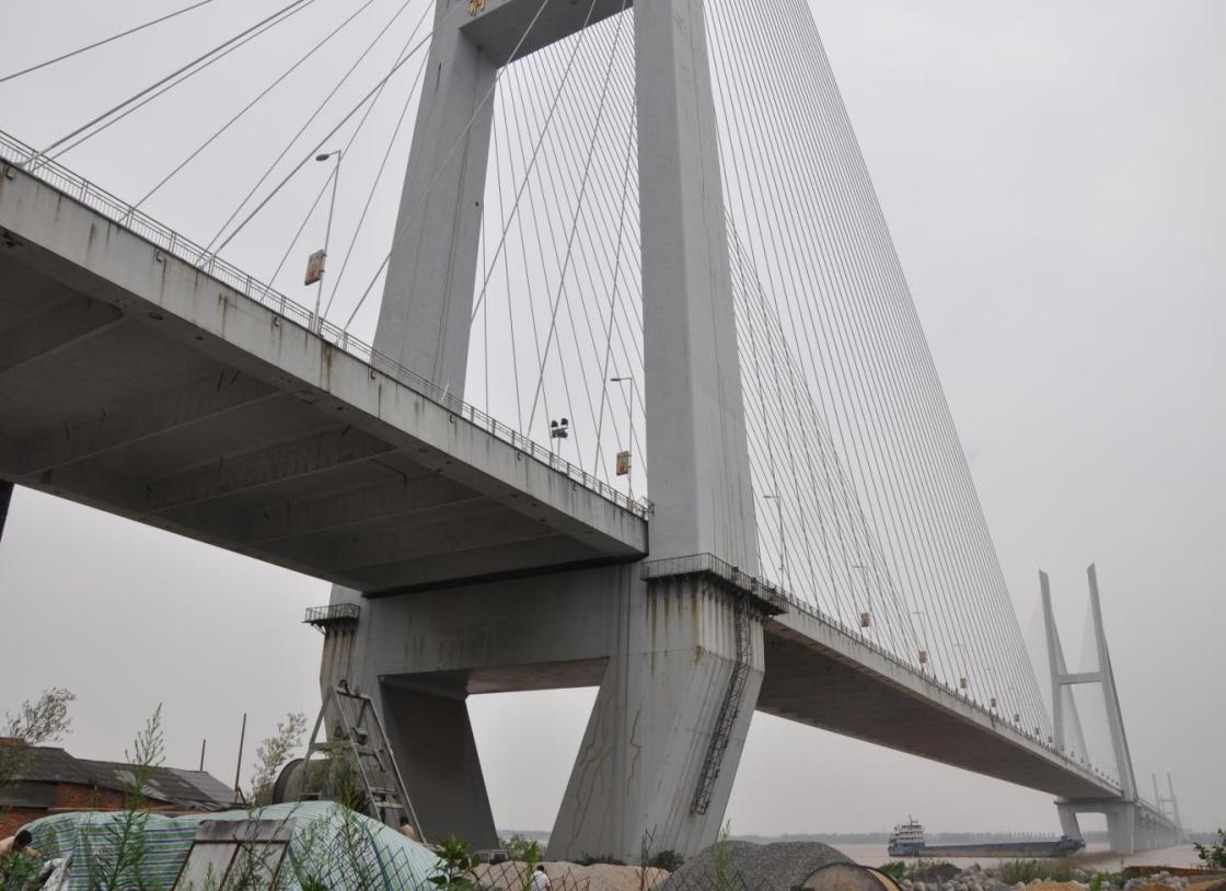 98堂论坛-追求康健,你我一起生长