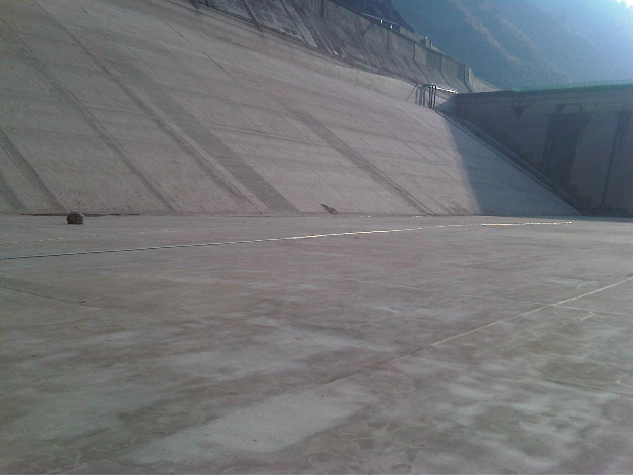 98堂论坛-追求康健,你我一起生长