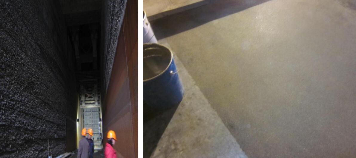 98堂论坛-追求康健,你我一起生长