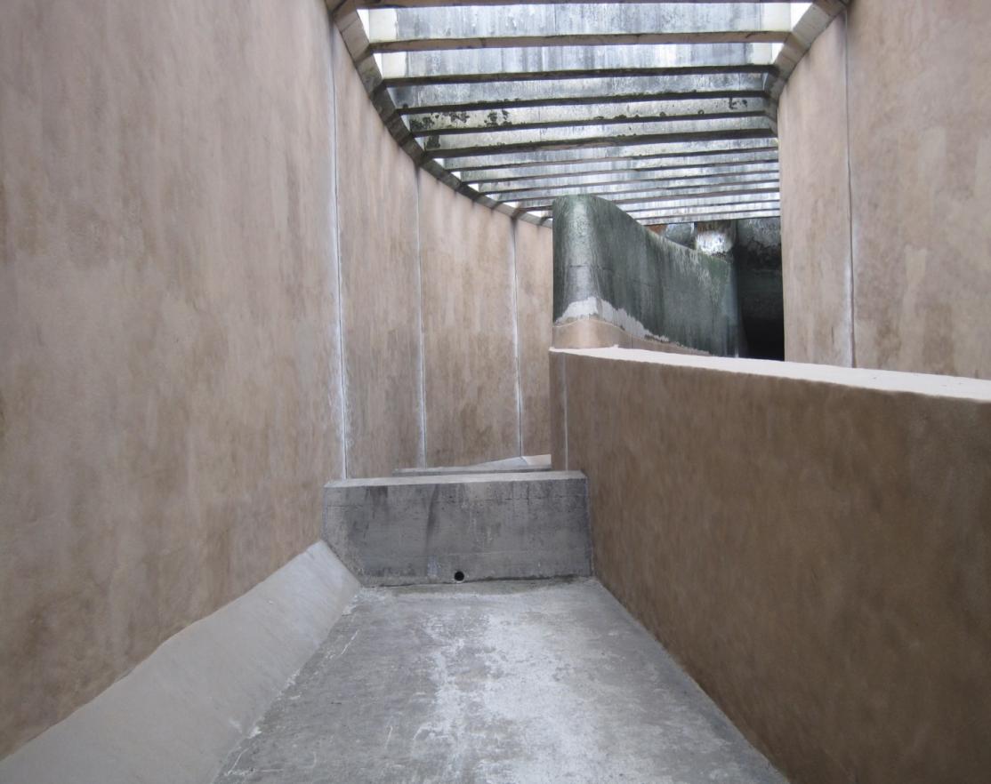 98堂论坛-追求康健,你我一起生长