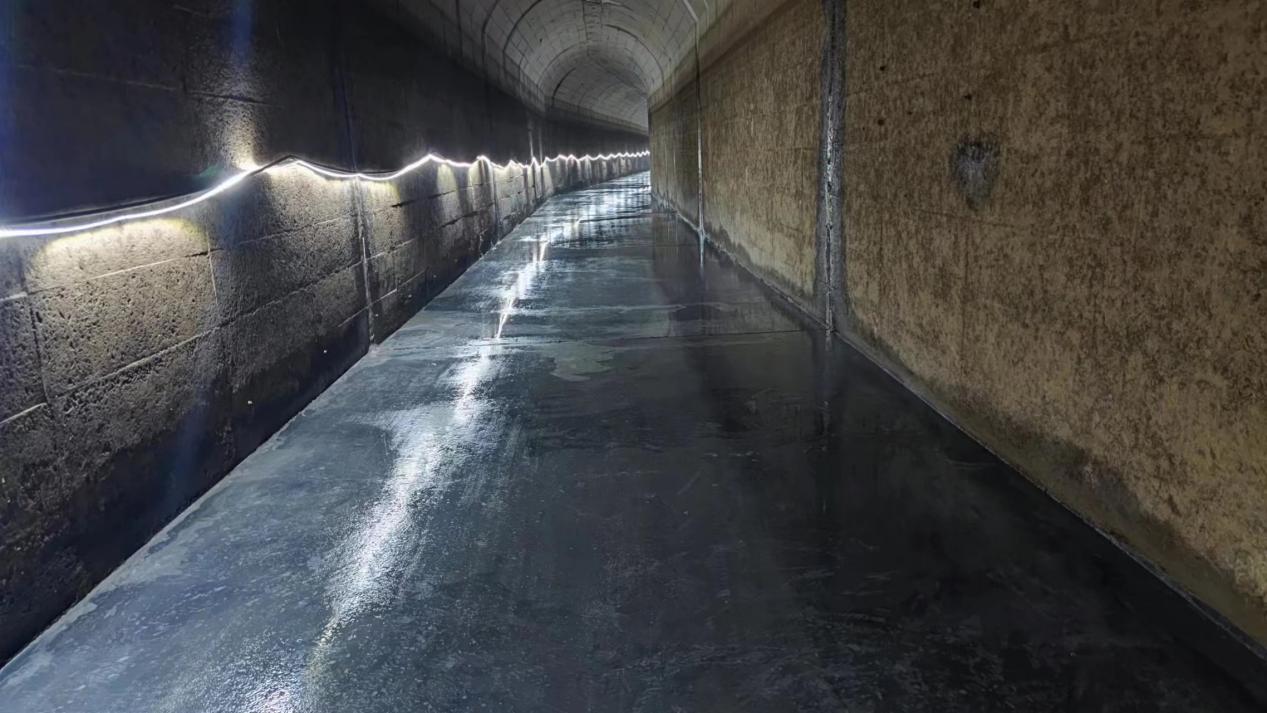 98堂论坛-追求康健,你我一起生长