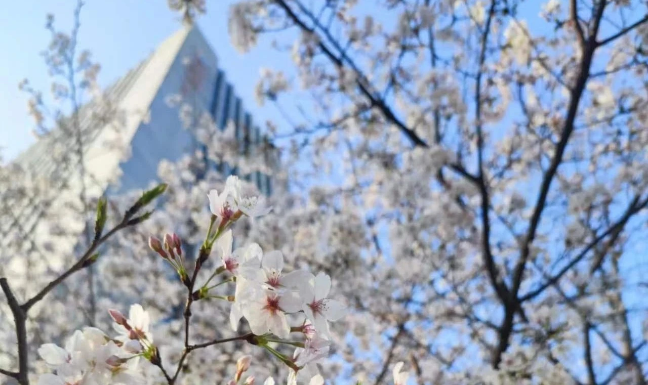 98堂论坛-追求康健,你我一起生长