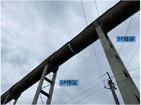 98堂论坛-追求康健,你我一起生长