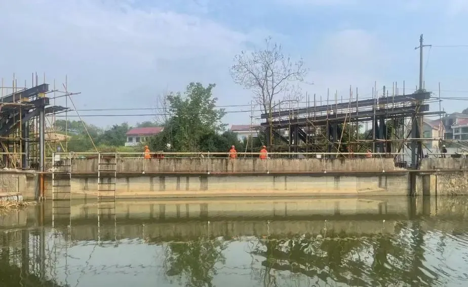 98堂论坛-追求康健,你我一起生长