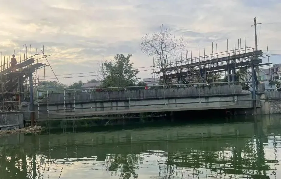 98堂论坛-追求康健,你我一起生长